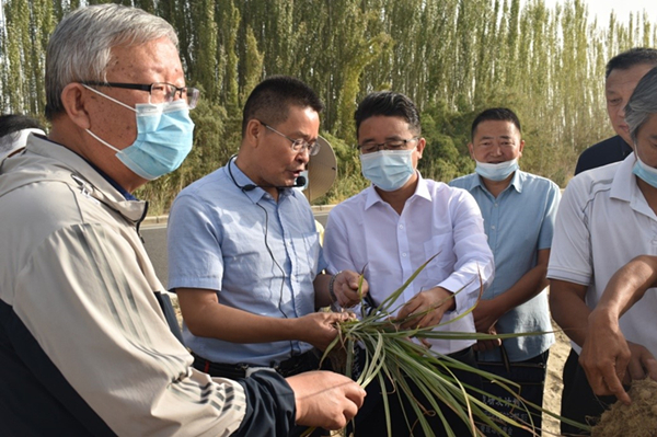 国家重点研发计划“北方风沙区油沙豆防风固沙技术研究与示范”项目召开2021年度项目中期检查暨现场观摩会